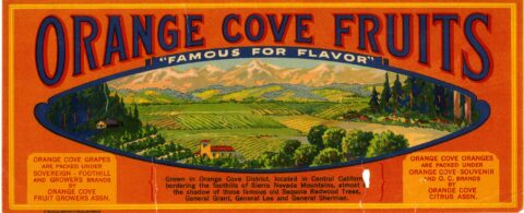 Orange Cove Fruit